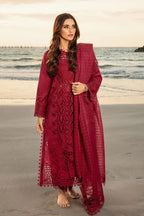 03-Piece Chikankari Suit With Embroidery - Ready To Wear